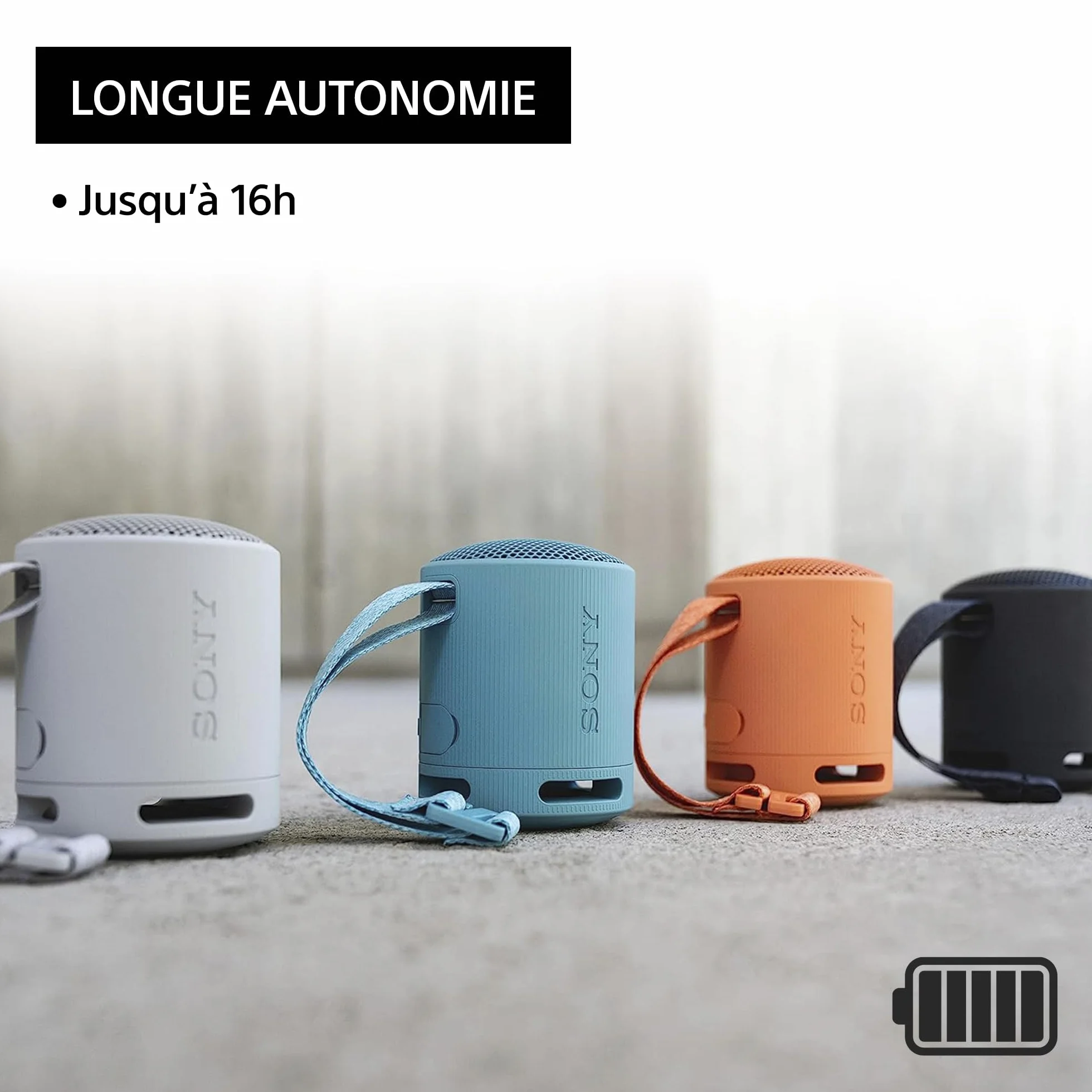 Sony SRS-XB100 Enceinte Bluetooth Portable IP67 Étanche Batterie 16H Noir