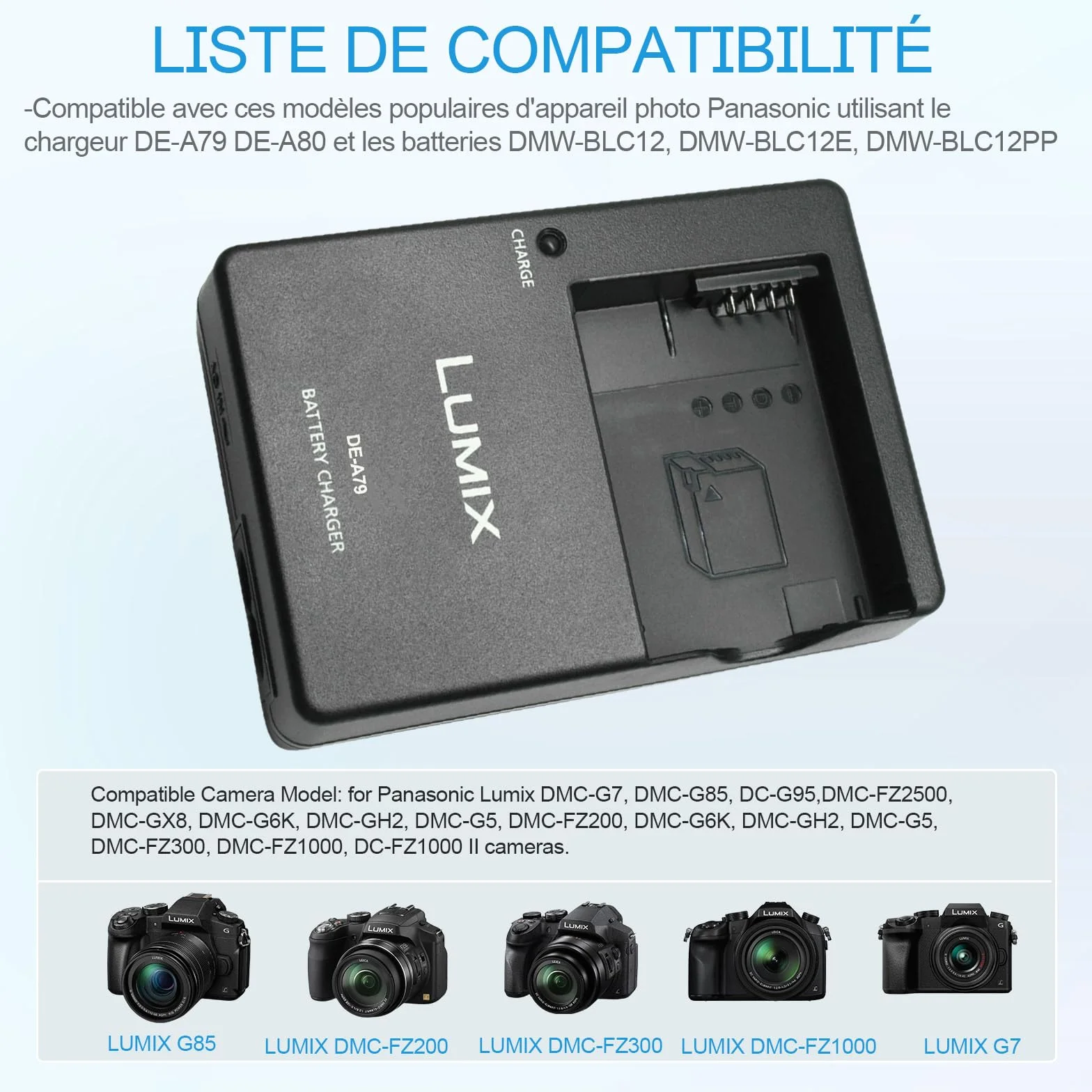 Chargeur de Batterie Compatible Panasonic Lumix DMW-BLC12 pour DC-FZ1000 II, DC-G95, DMC-GX8, DMC-FZ200, DMC-FZ300, DMC-FZ1000, DMC-FZ2500, DMC-G7 HS avec Câble AC 120cm