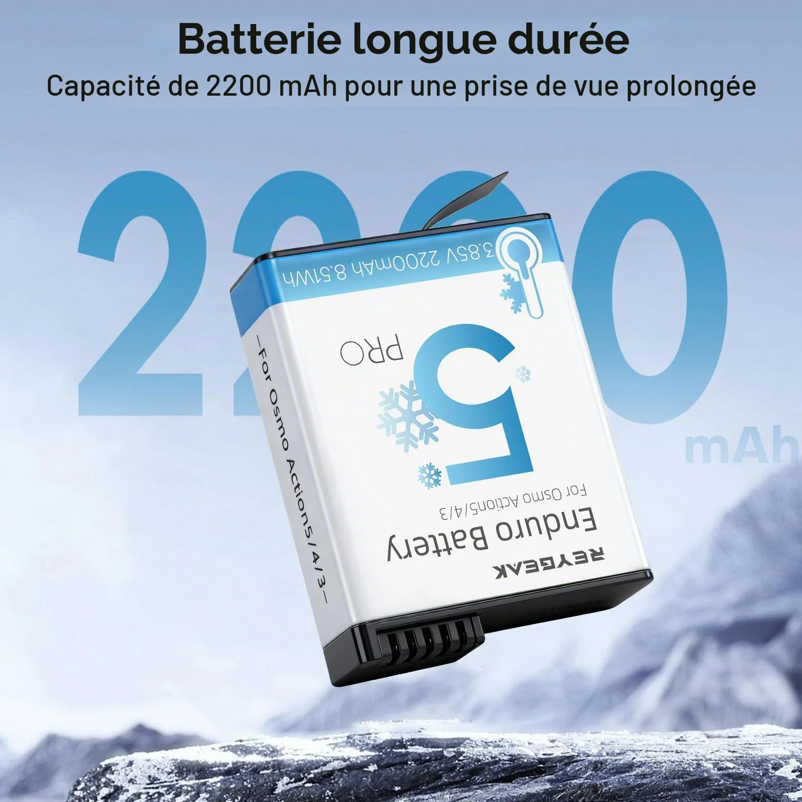 REYGEAK Batterie et Chargeur pour DJI Osmo Action 6/5/4/3, 2200mAh Chargeur Triple Accessoire