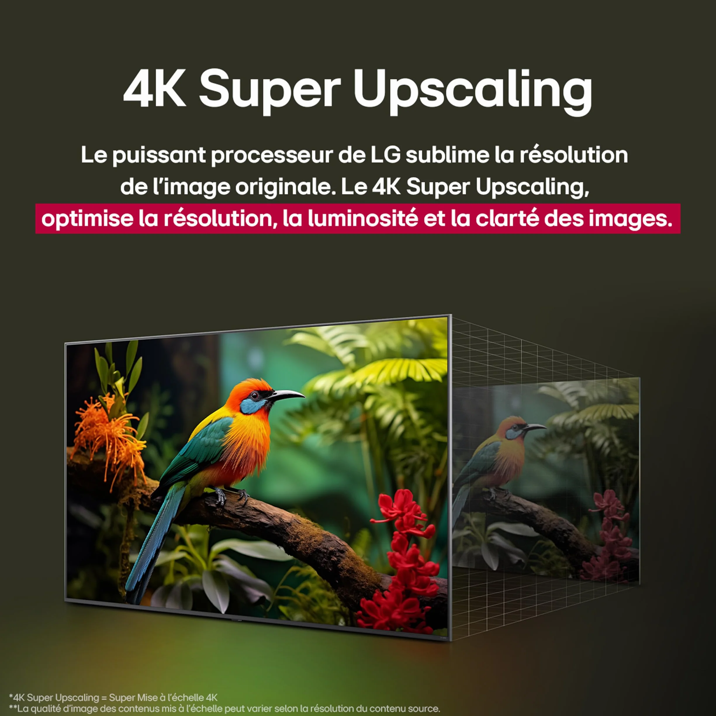 LG TV QNED AI 2025 43QNED8E 43" 108cm 4K UHD HDR10 webOS 25 Magic Remote Alexa Google Assistant AirPlay 2
